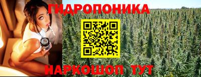 индика Конаково