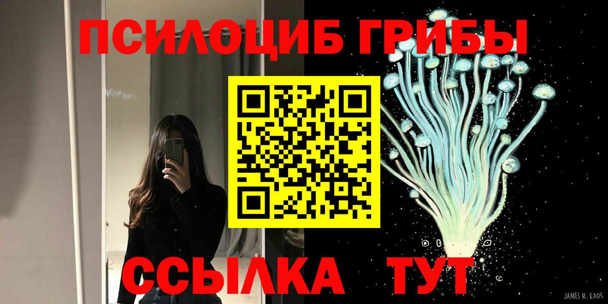 Галлюциногенные грибы Psilocybine cubensis Железноводск