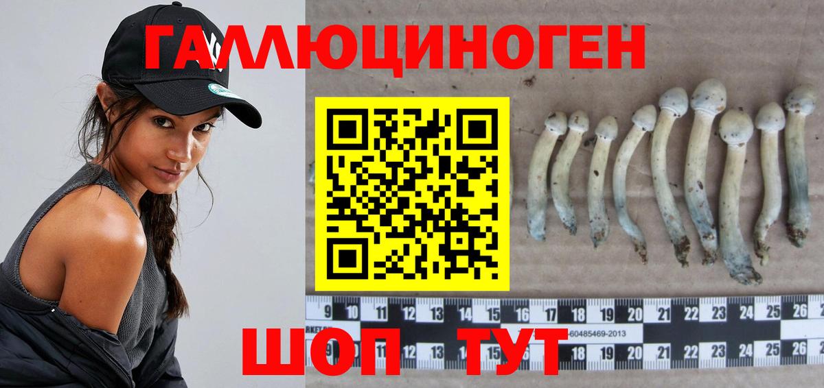 Галлюциногенные грибы GOLDEN TEACHER  Вход с VPN  Галлюциногенные грибы мухоморы  Железноводск 